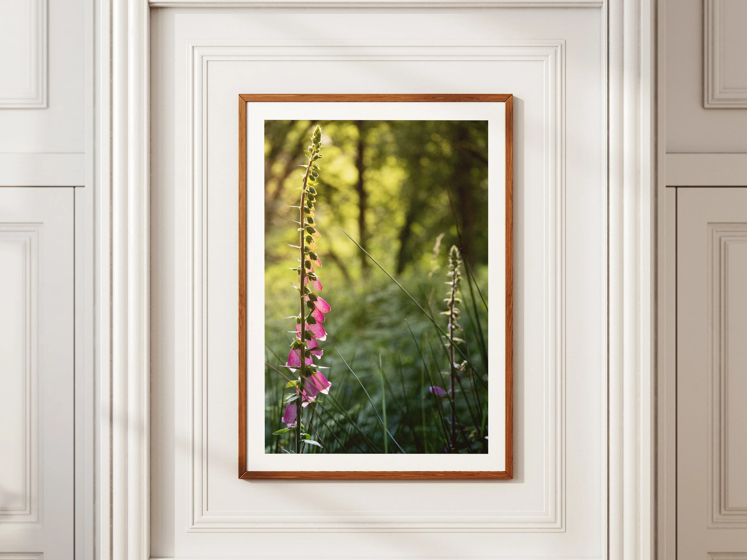 A framed picture of a foxglove in the forest