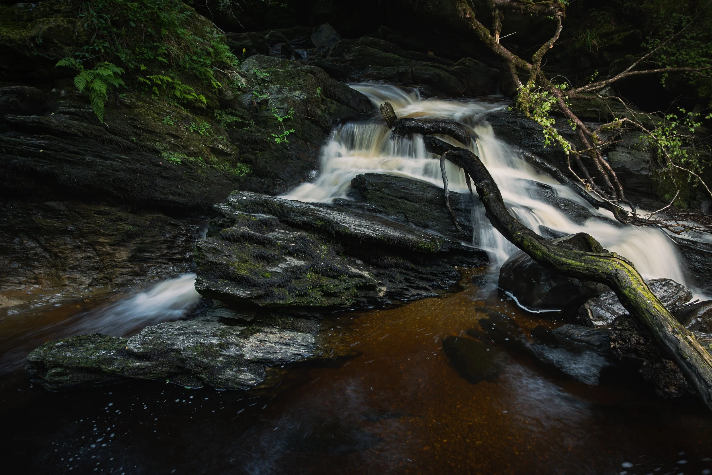 the undercurrent v4.jpg