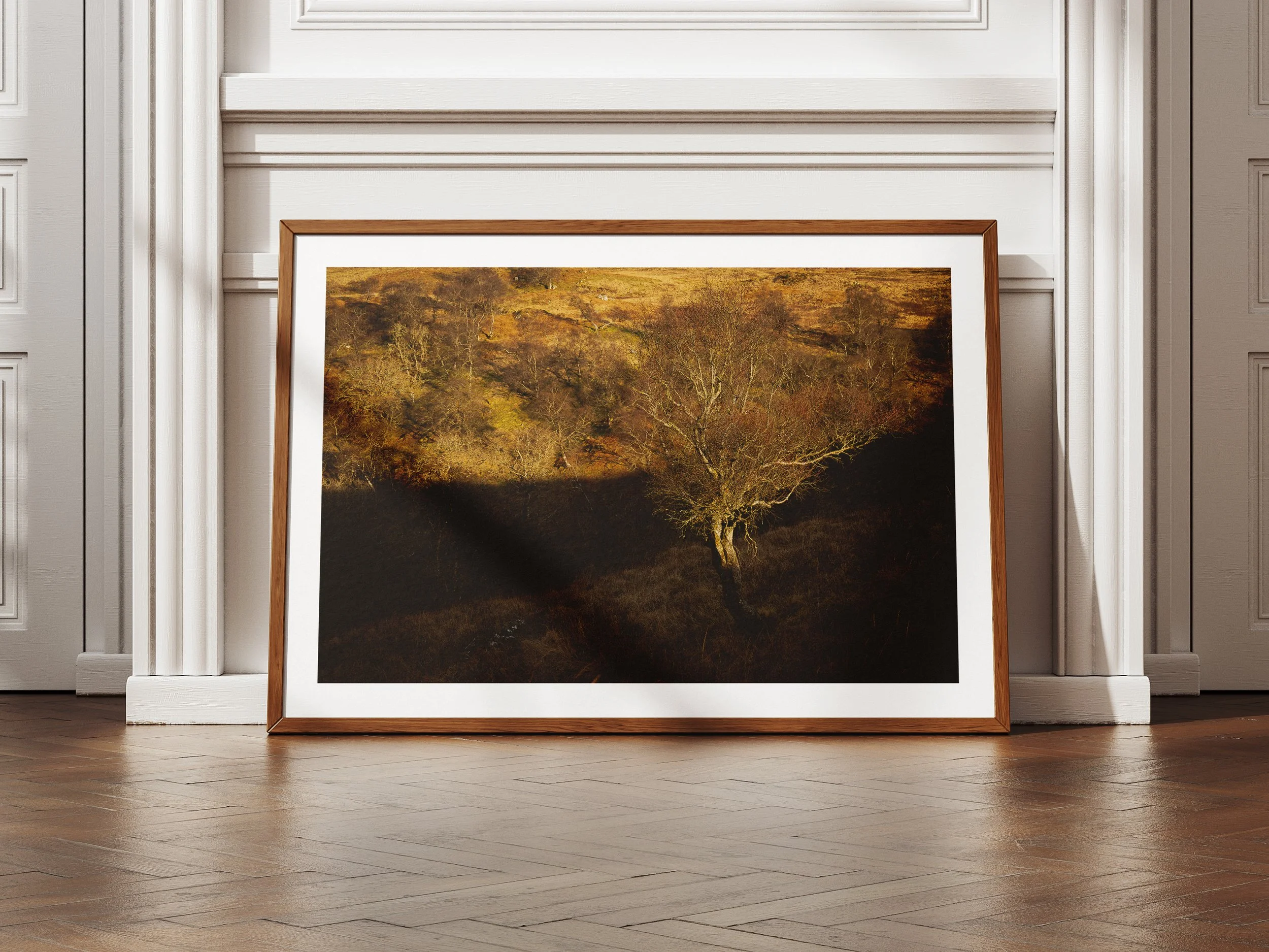 A Framed Picture of a Solitary Tree at Sunset