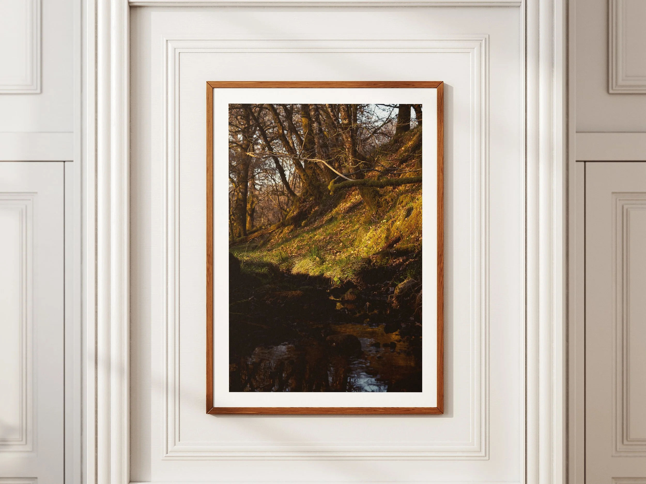 A framed picture of a tree above a stream