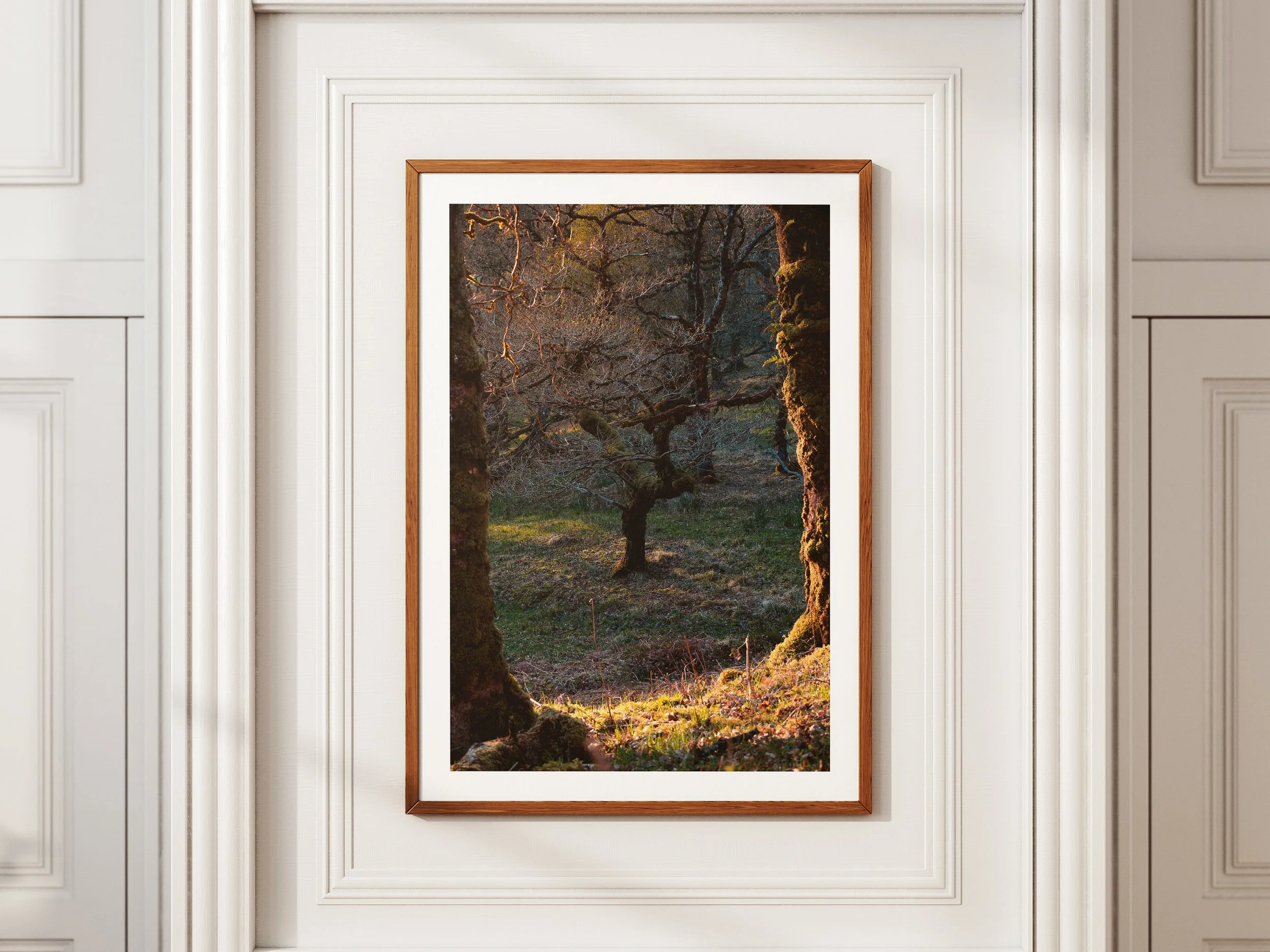 A framed picture of a winding tree