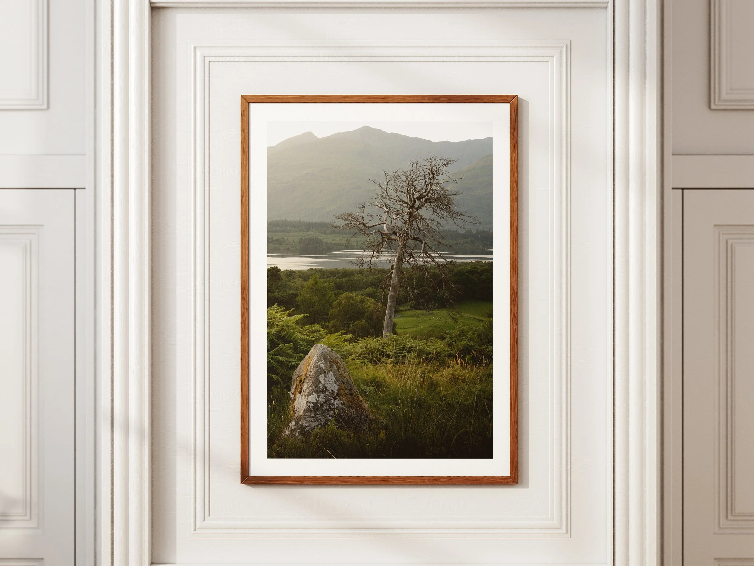 A framed picture of a leafless tree in front of Ben Cruachan