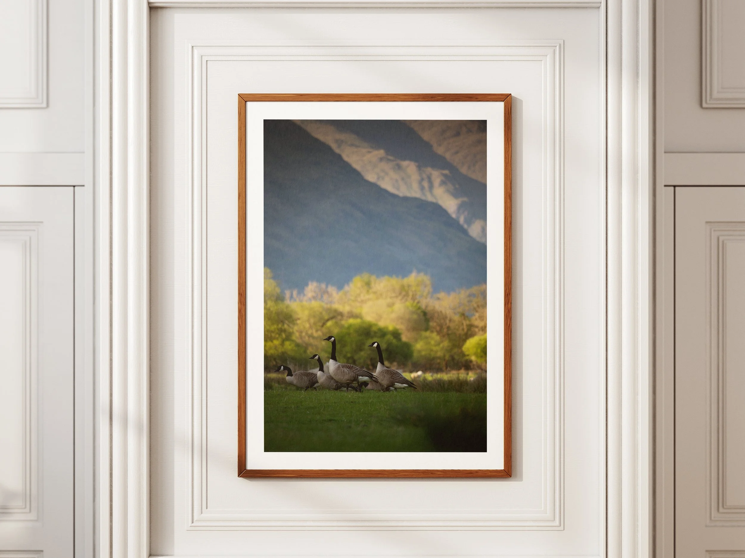 flock-of-geese-mockup.jpg