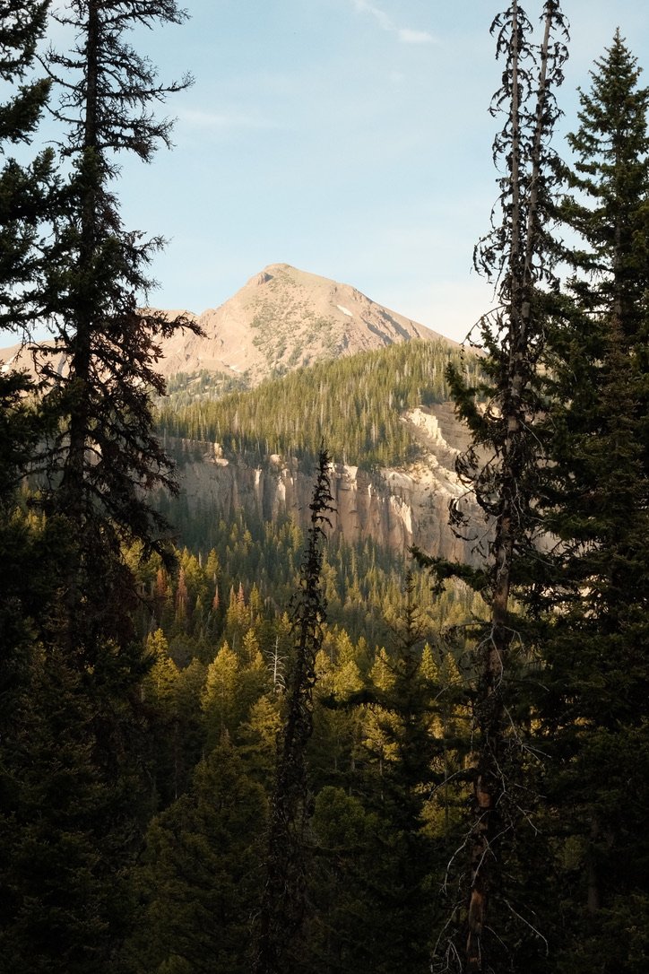 F3919939-49A9-493A-A9C8-19B6C36B6564_1_105_c.jpeg