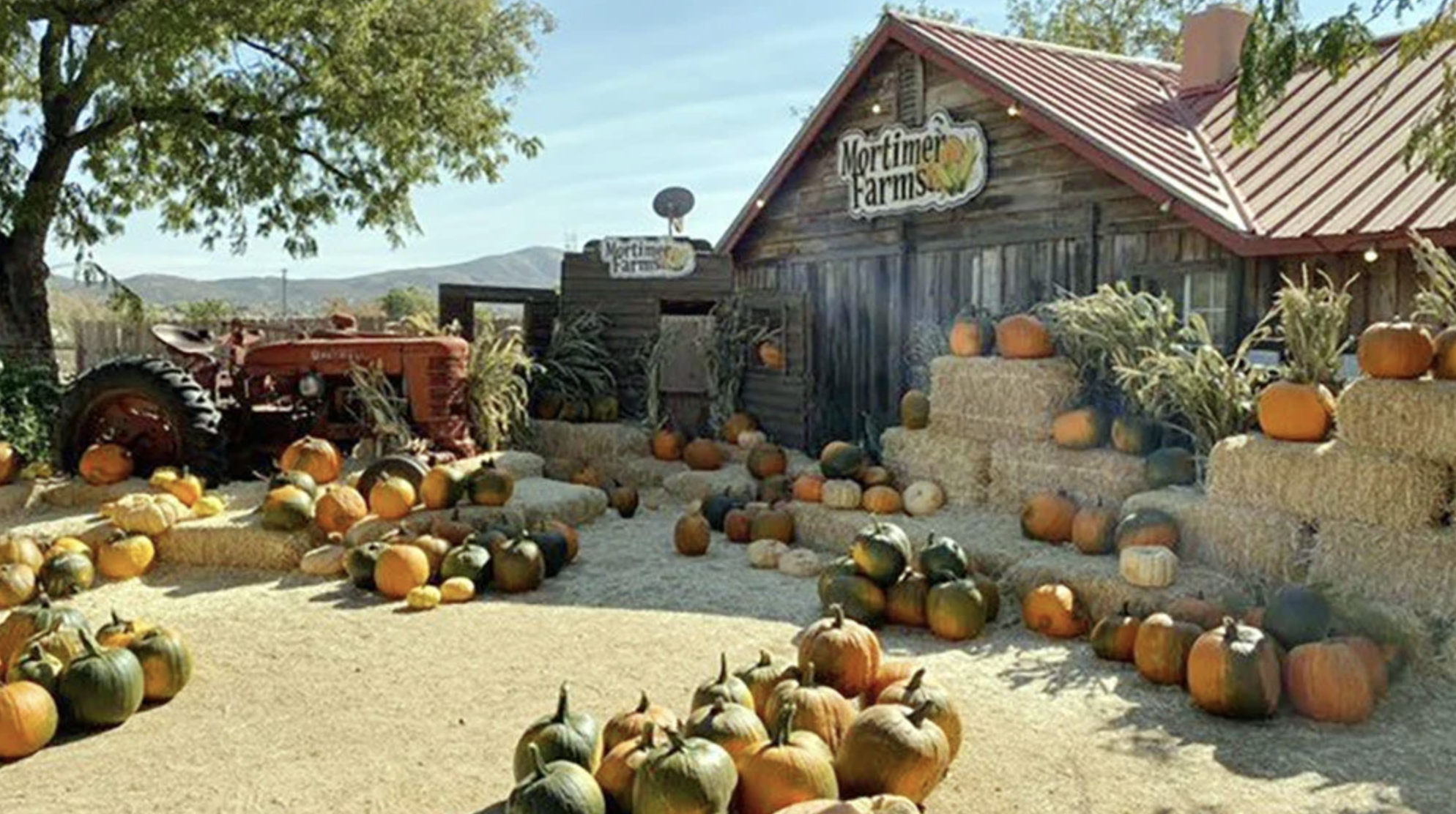 Fall in Prescott, AZ: Events, Fall Color &amp; Things to Do in September 2026