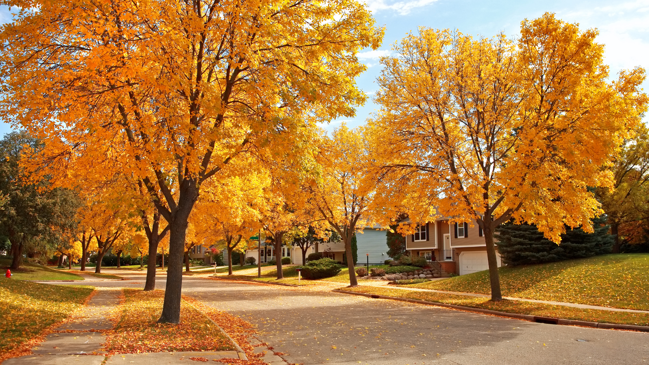 Your Fall Home Maintenance Checklist — Prescott Edition