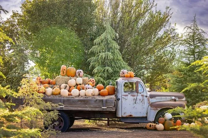 Your October Guide to Prescott, AZ: Events, Pumpkin Patches &amp; Peak Fall Color