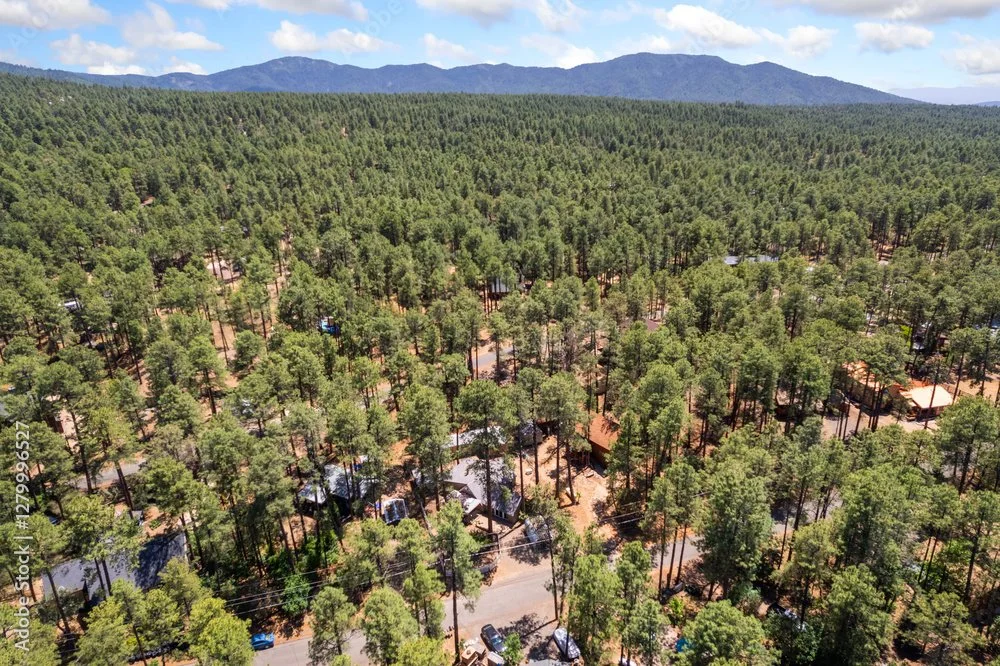 Groom Creek &amp; Mountain Communities Near Prescott AZ