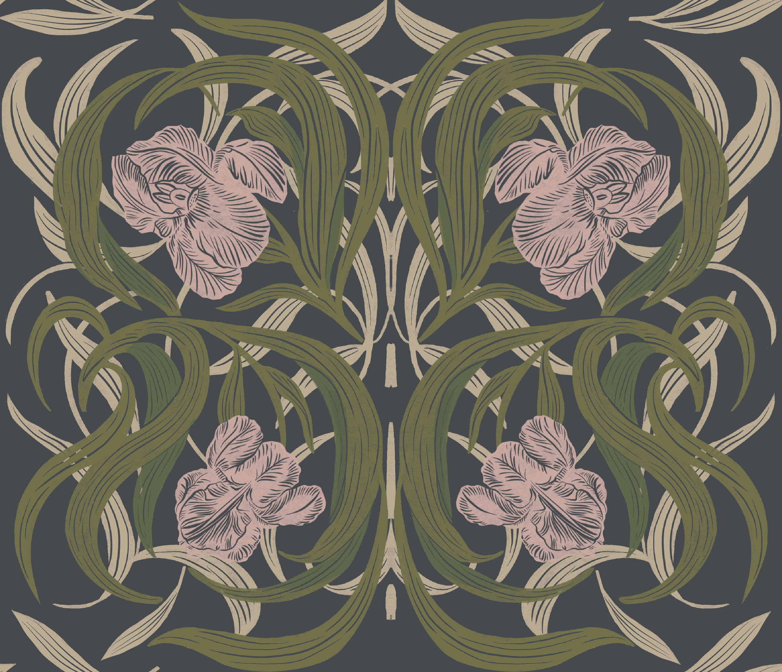 Ballard-Iris-03.png