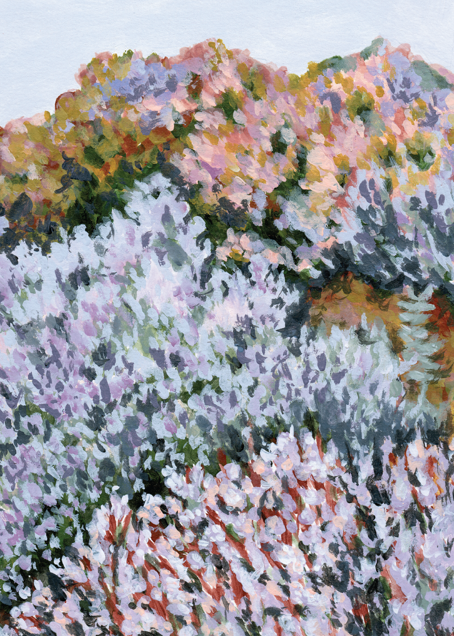 "Lavender Blooms" Print