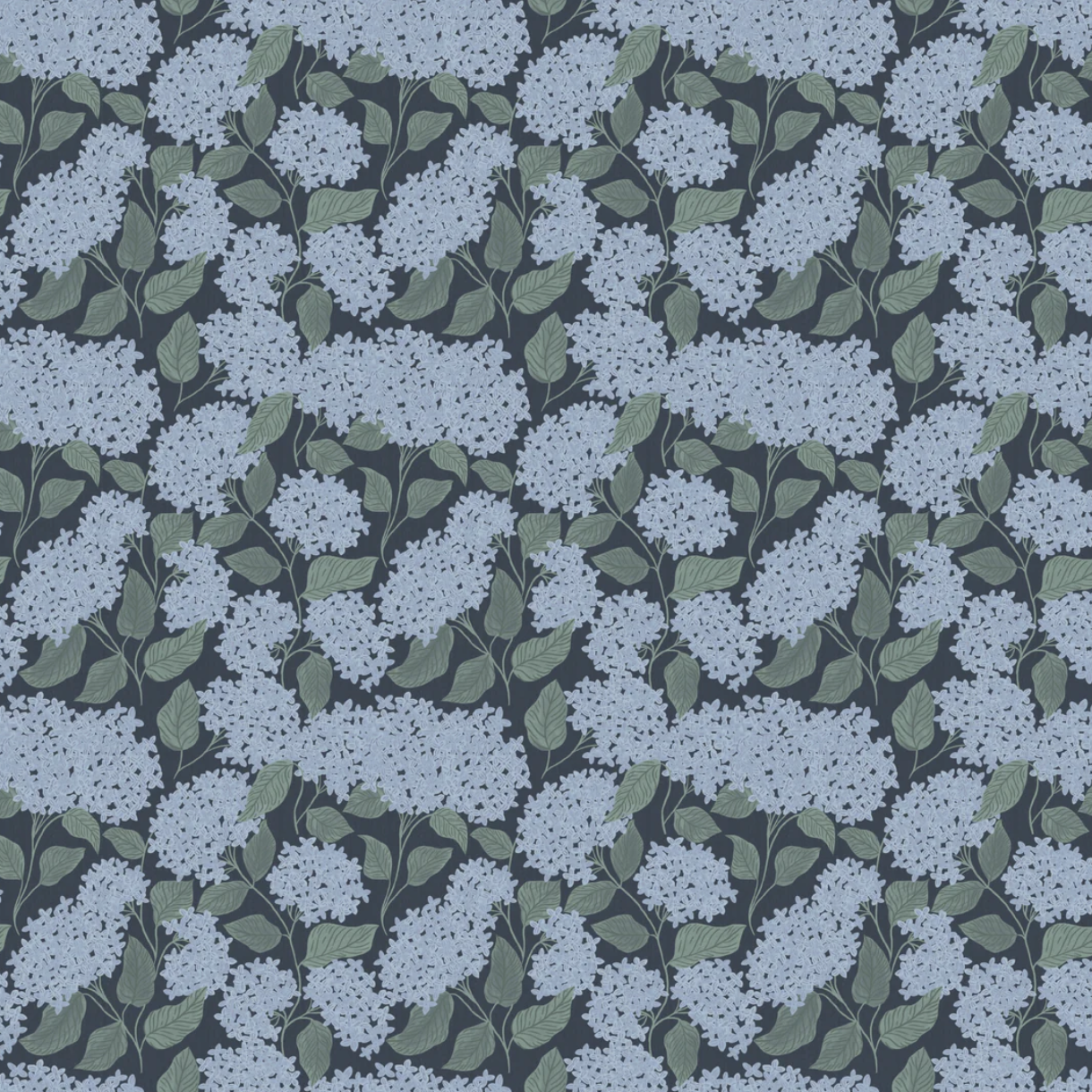Screenshot 2025-07-14 at 9.12.12 AM.png