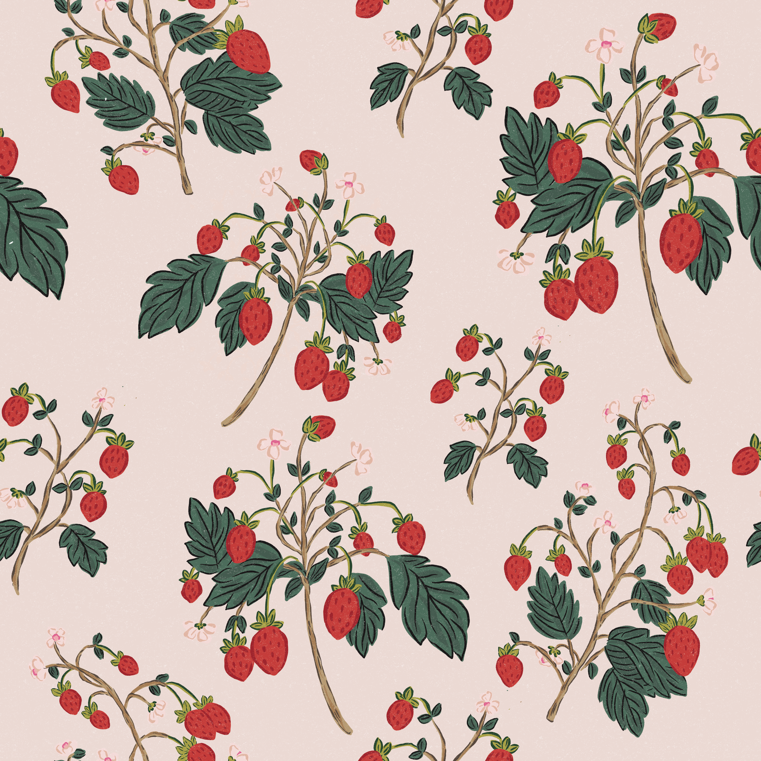 Strawberries.png