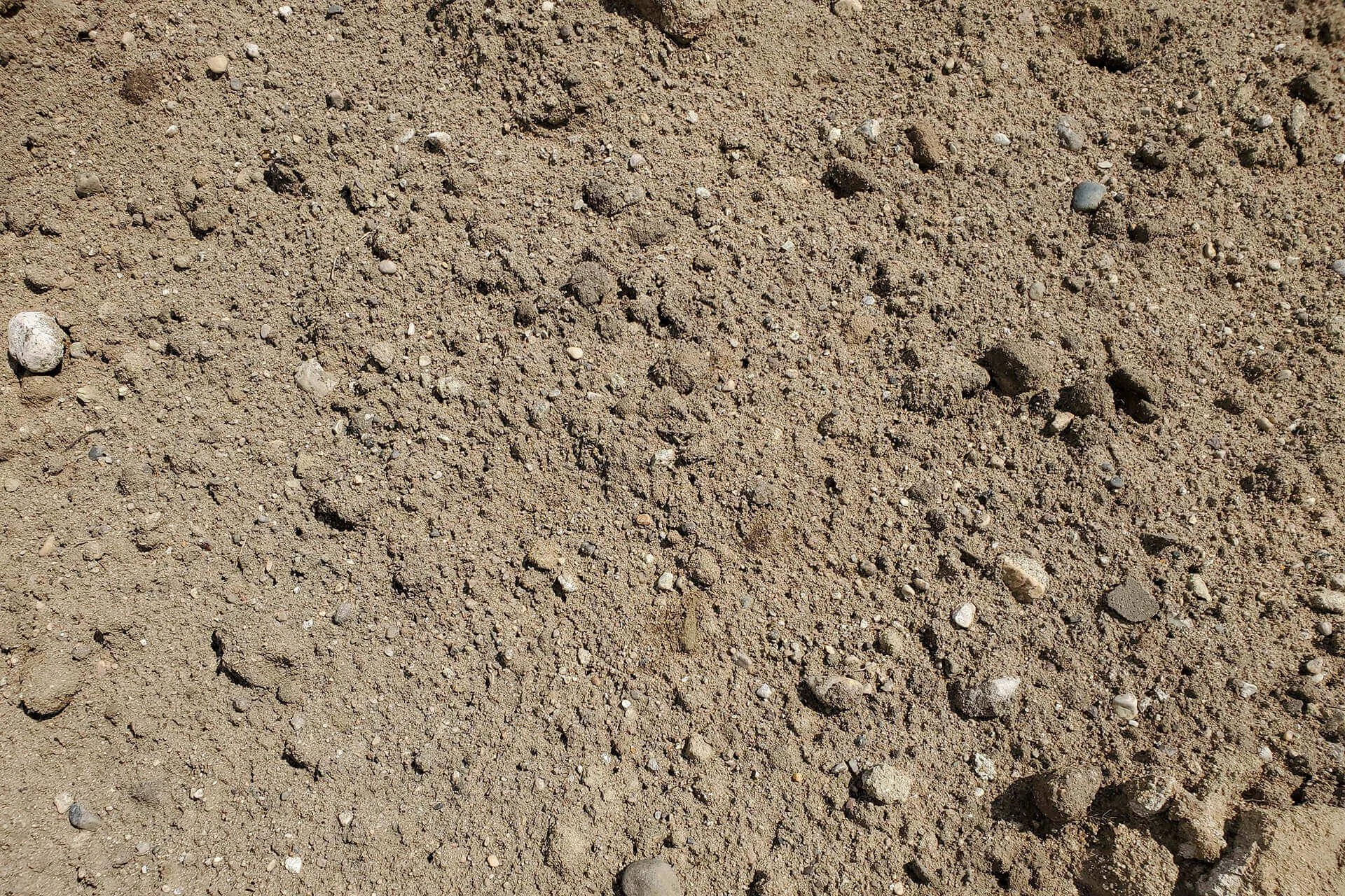 Fill Dirt