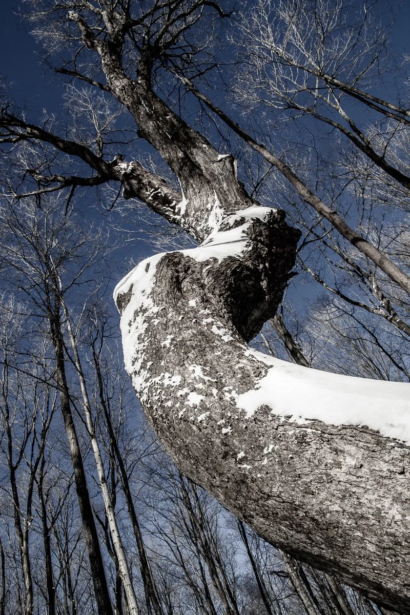 1302_52912_untitled shoot.jpg