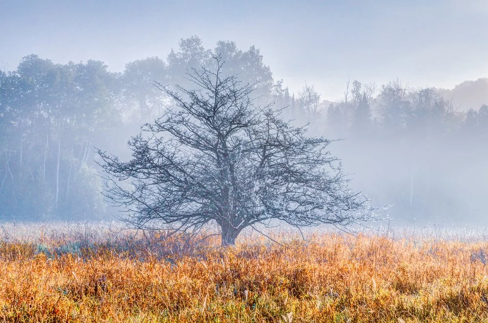 1209_51466_untitled shootAnd2more.jpg