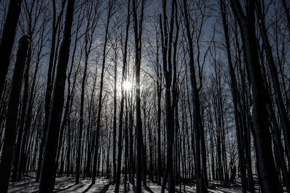 1302_52911_untitled shoot.jpg