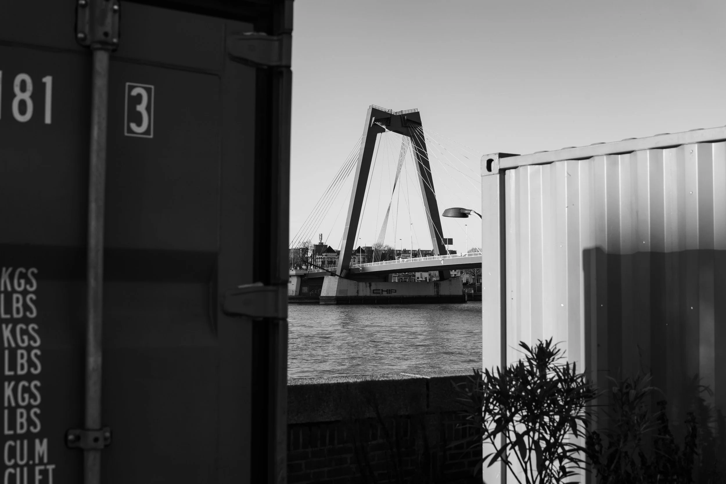 DSC07090.jpg