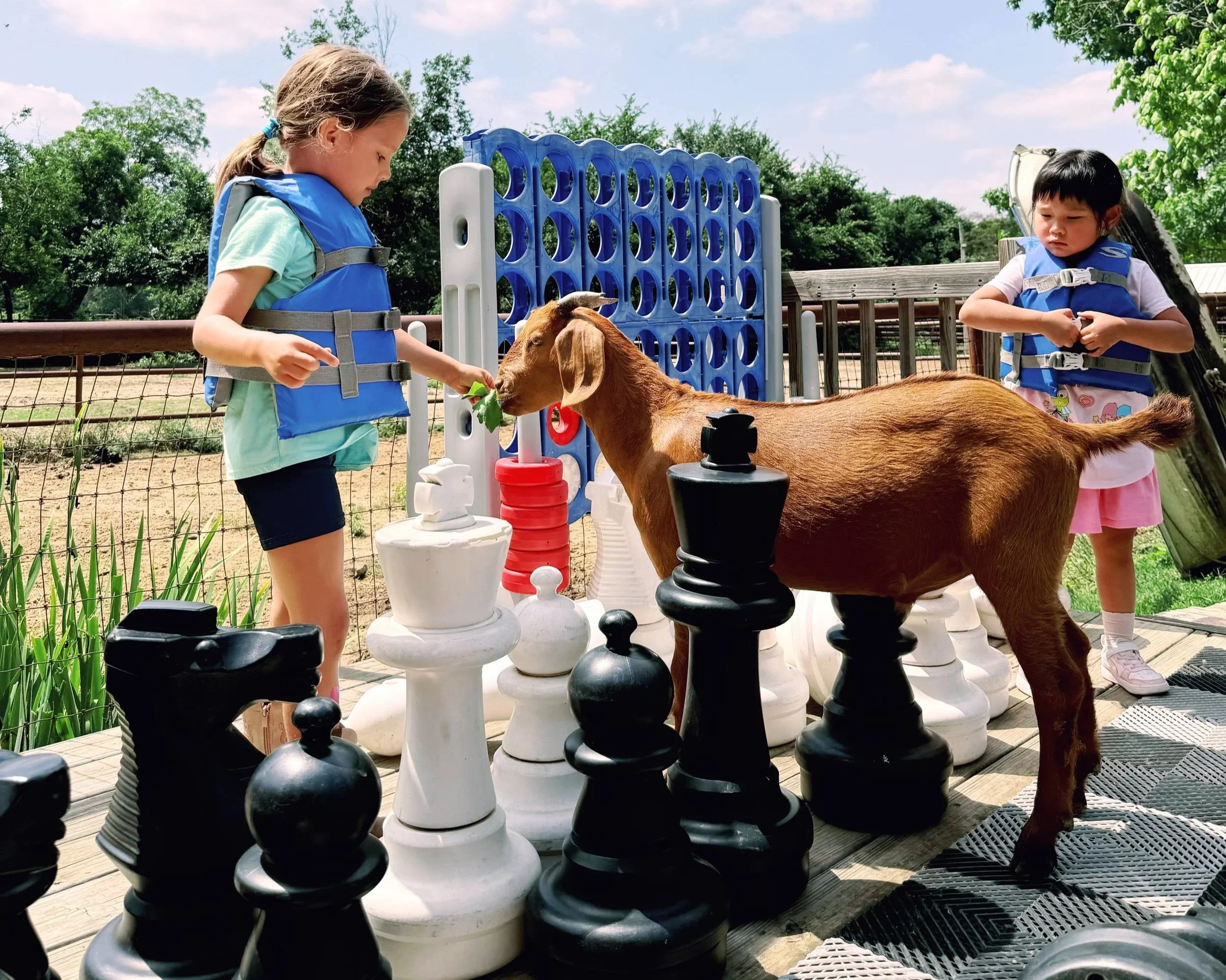 April 3rd 1-Day Pop Up Camp