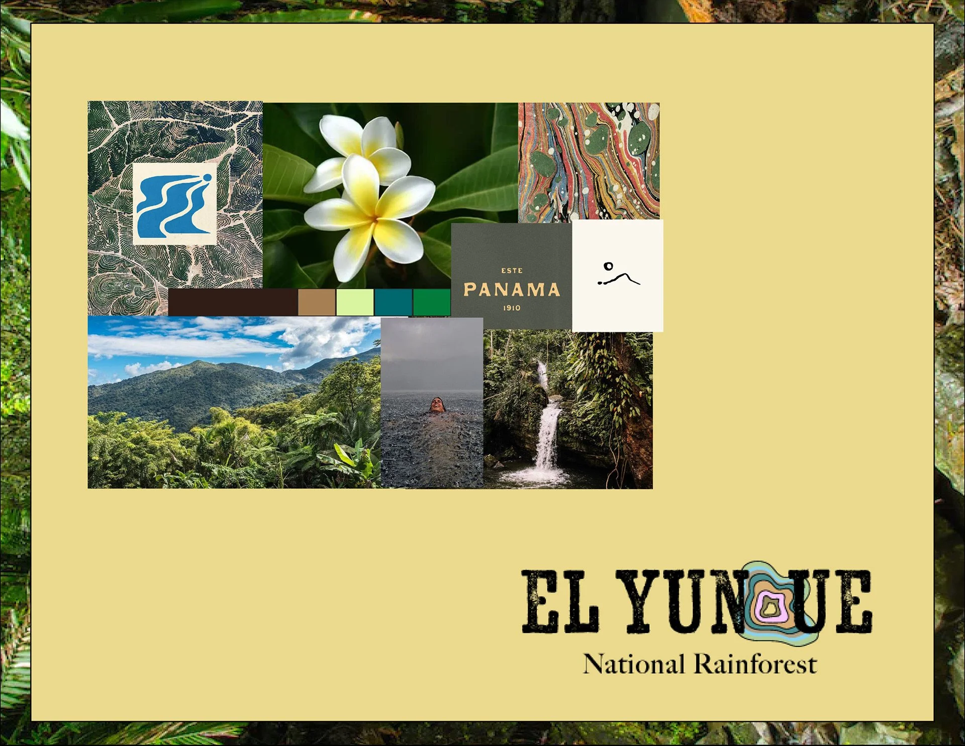 Brand development project - El Yunque
