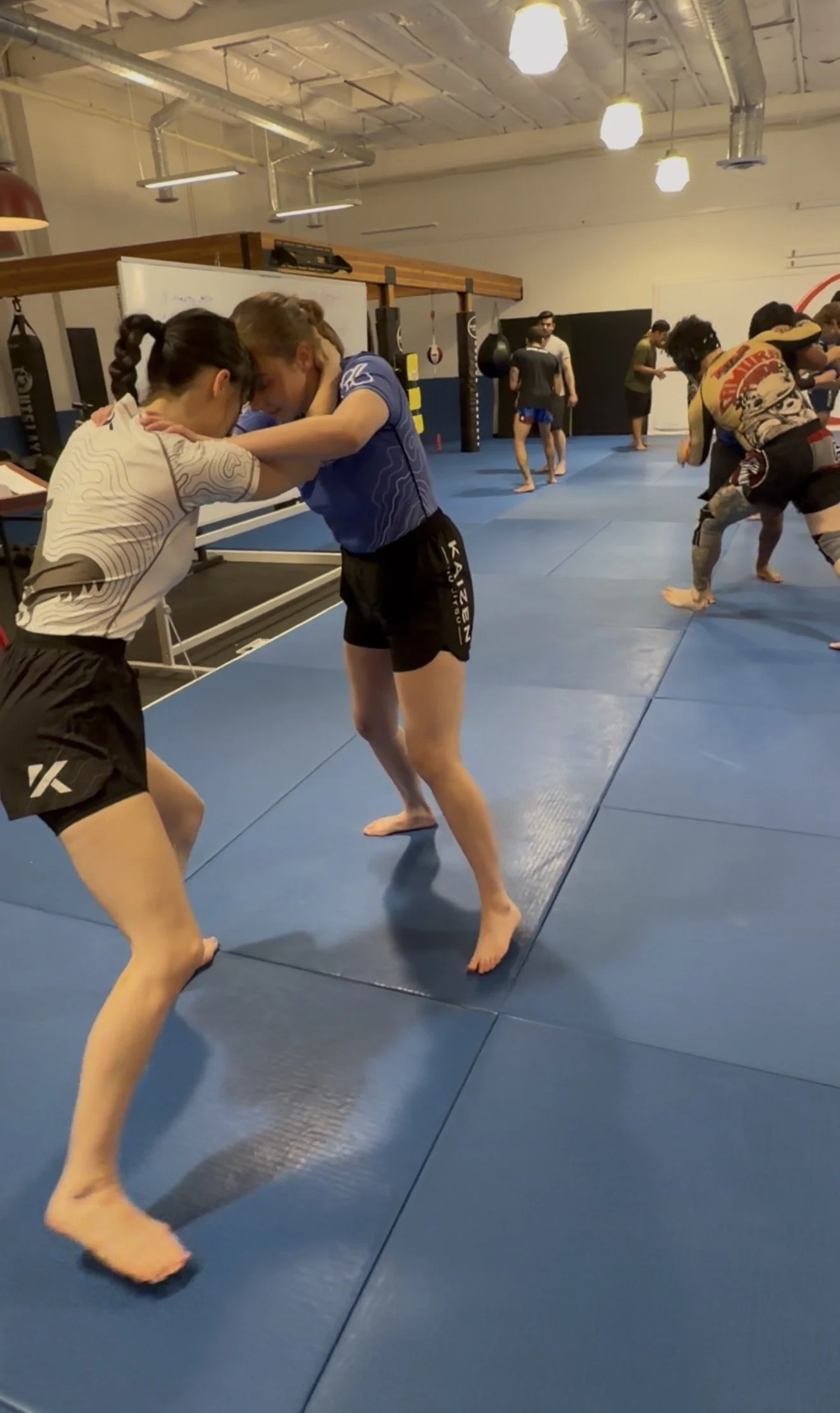 Six-Week Beginner Jiu Jitsu Program — November 2026
