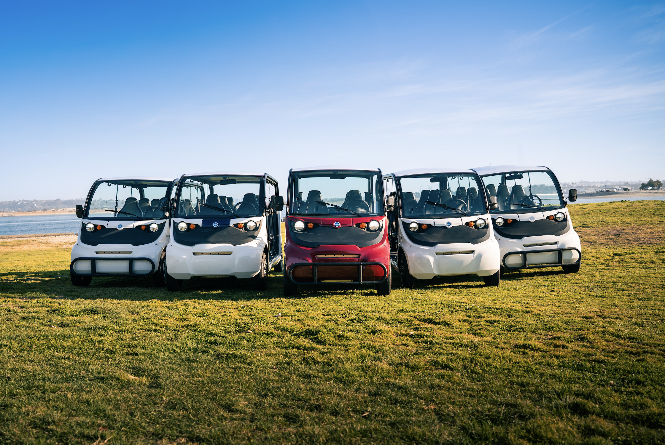 Five electric scooters parked on a grassy area near a body of water on a sunny day.