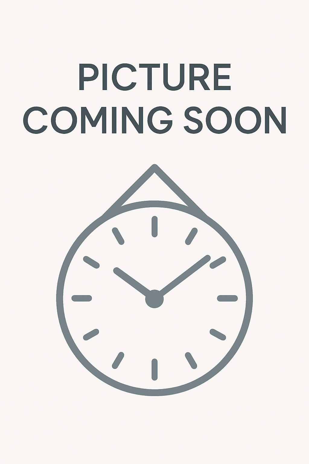 Anniversary & 400-Day Clocks Guide: Torsion Movements, Setup, Beat ...