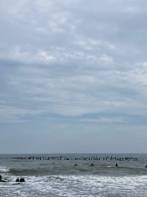 montauk_by_rachel_decker.jpeg