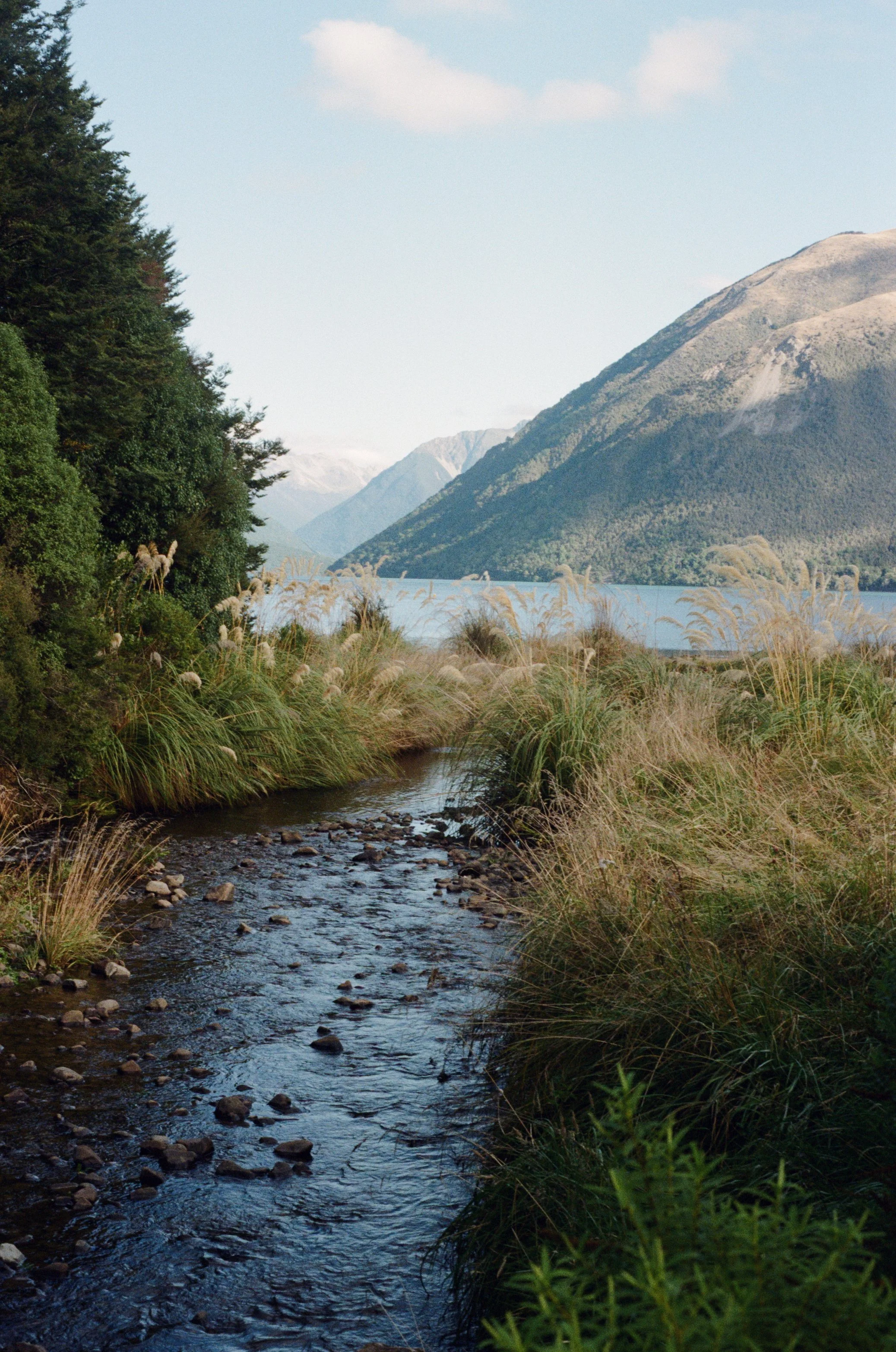 A small mountain stream flowing through tall grass with a backdrop of green mountains under a partly cloudy sky.