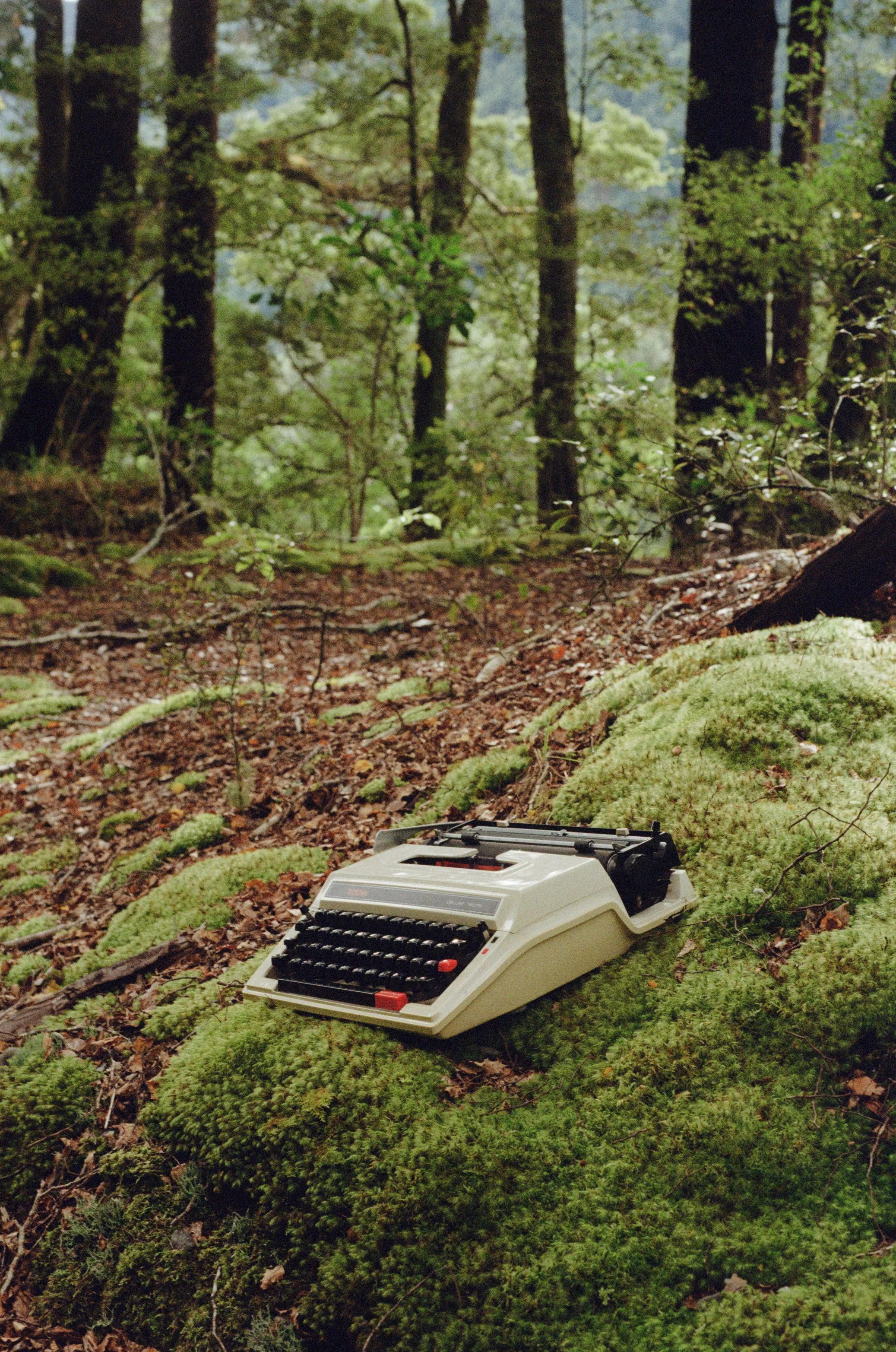 A vintage electronic typewriter resting on green moss in a forest with tall trees and dense foliage in the background.