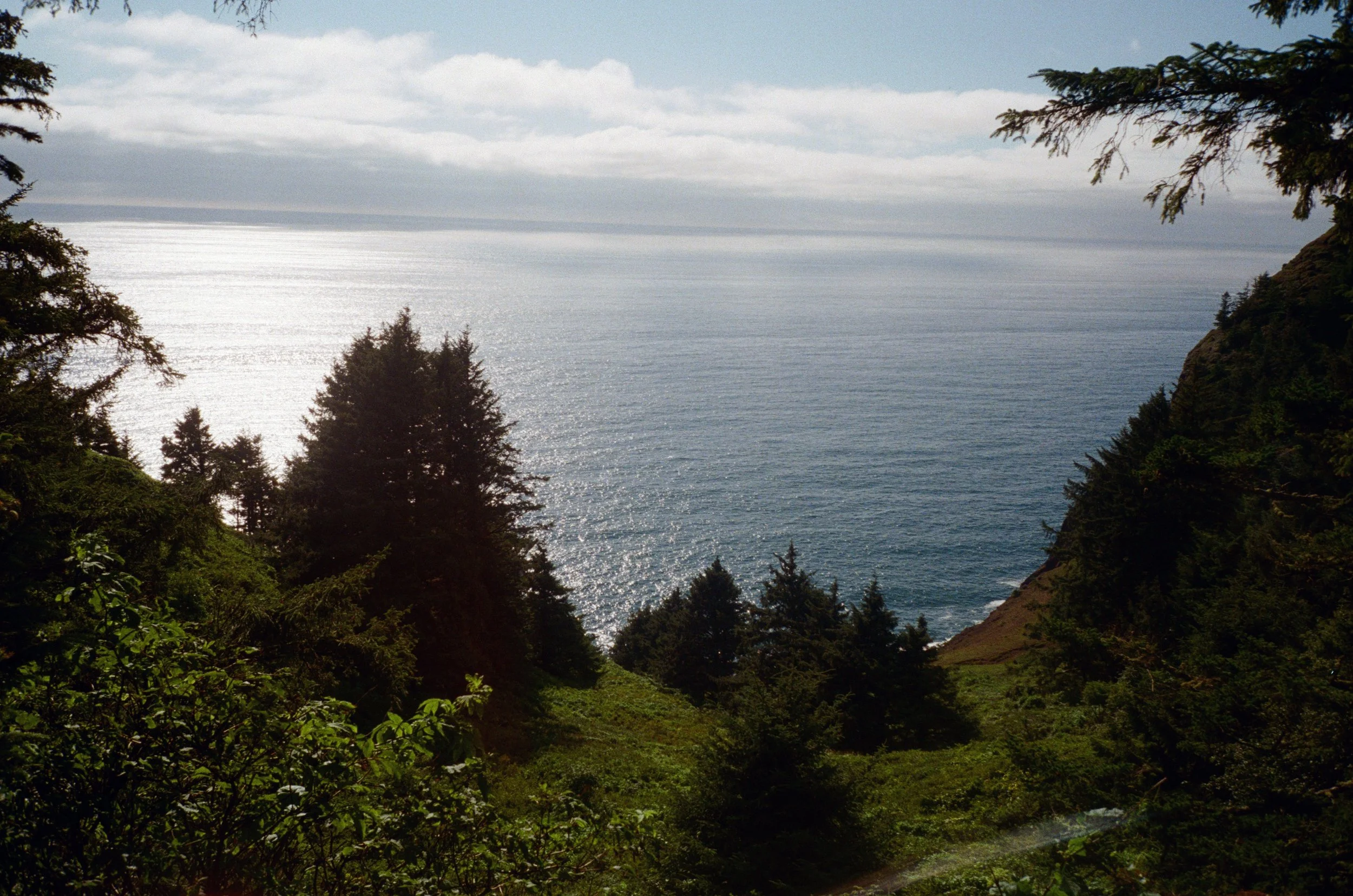 A view of the ocean through a forested hillside with trees and greenery in the foreground.