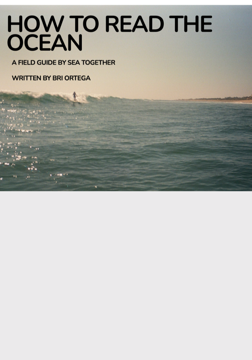 Screenshot%2B2026-10-01%2Bat%2B3.33.33%25E2%2580%25AFPM.png