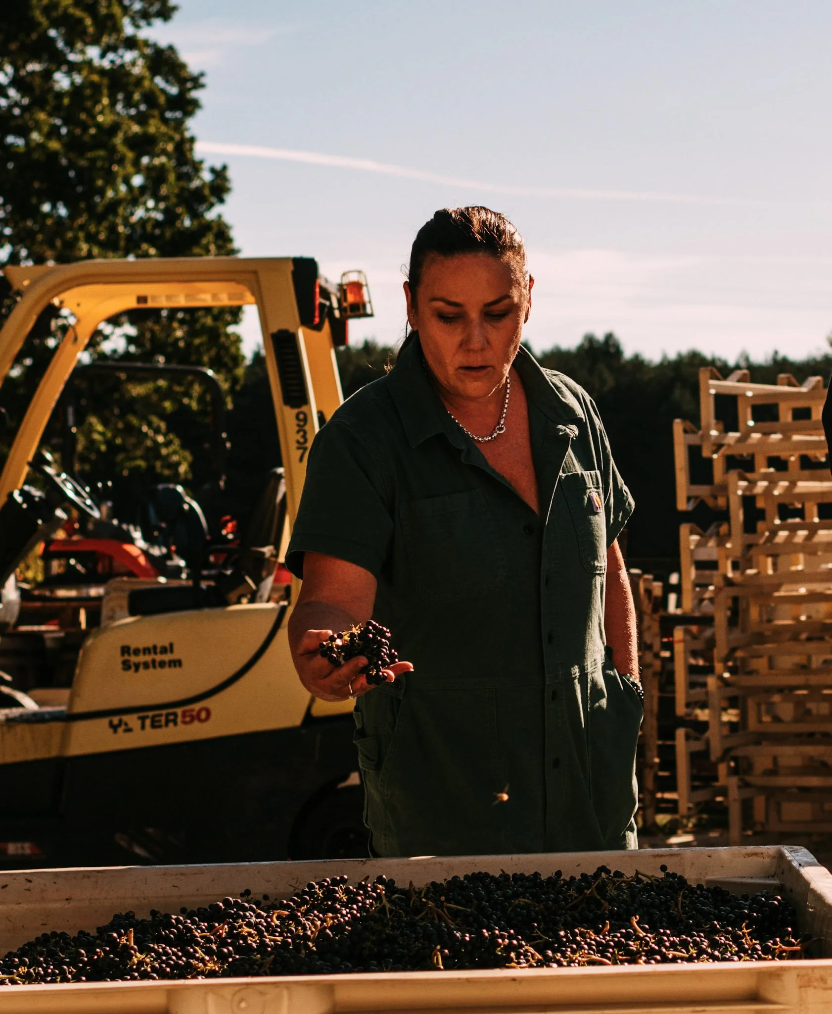 Concinnitas Selects_32.jpg