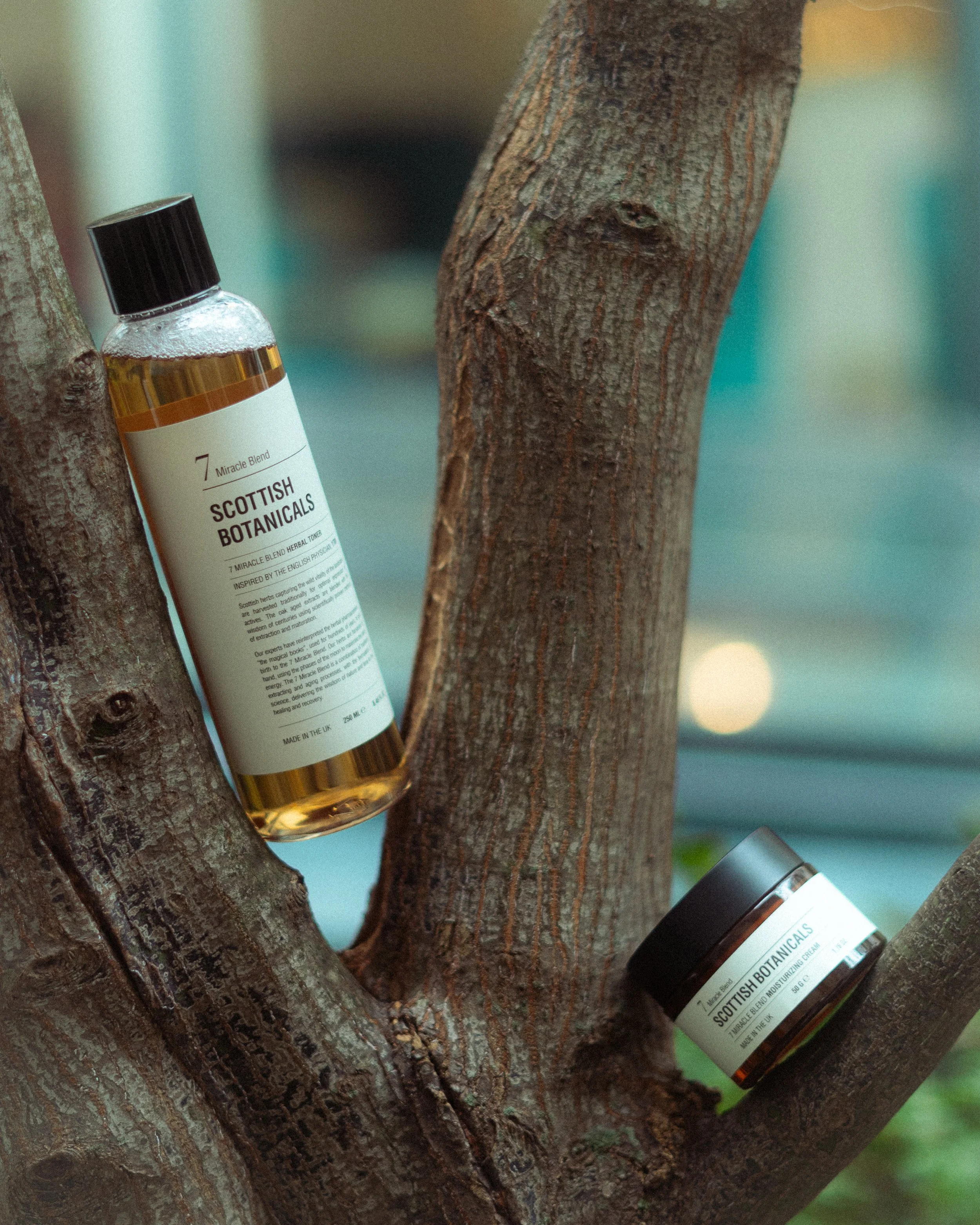 SCOTTISH BOTANICALS-3.jpg