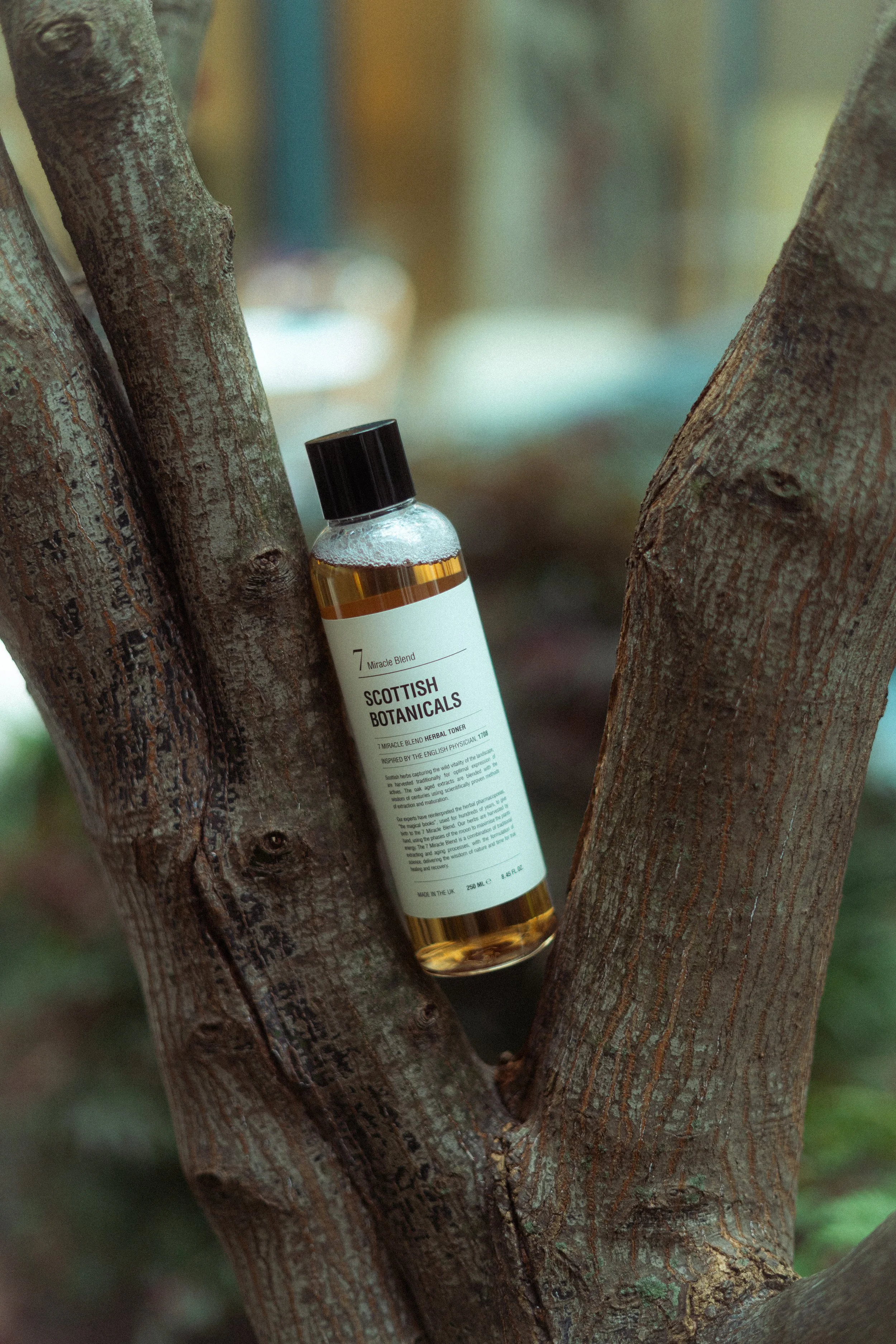 SCOTTISH BOTANICALS-2.jpg