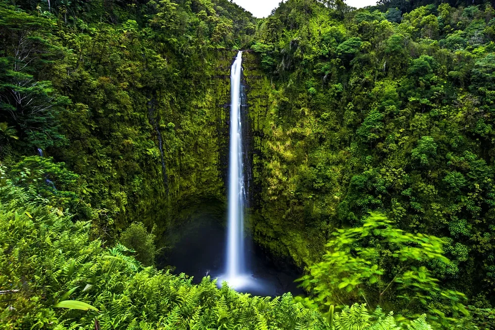 akaka-falls-big-island.webp