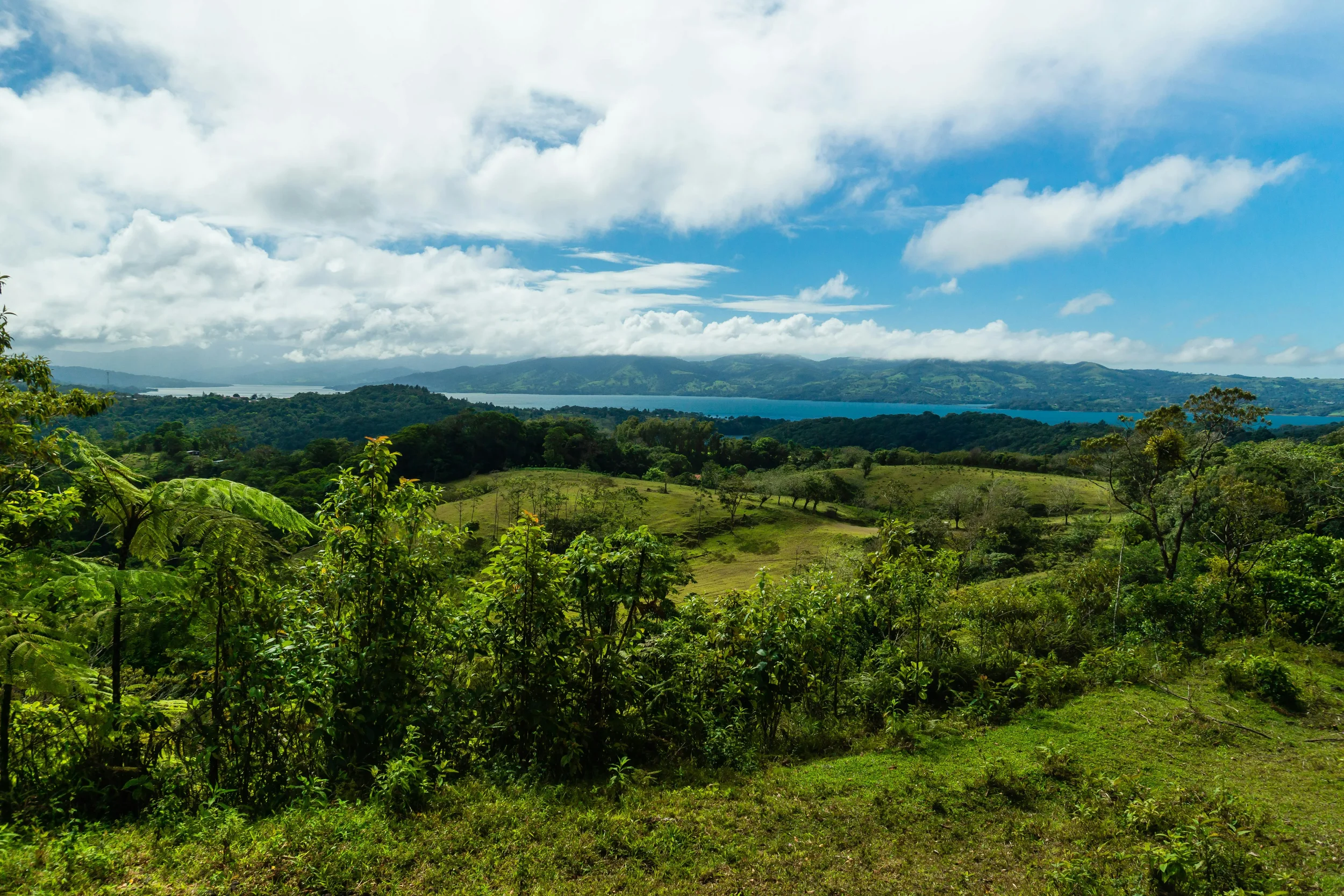 costa-rica-landscape.webp