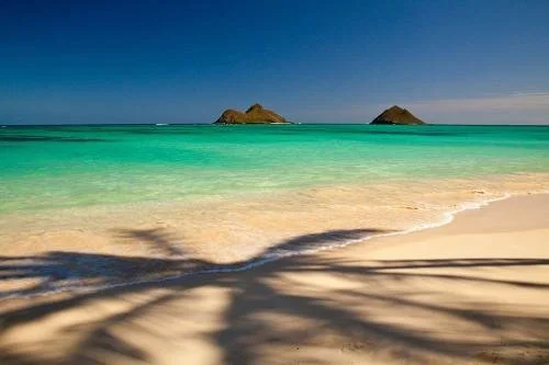 oahu-beach-north-shore.jpg