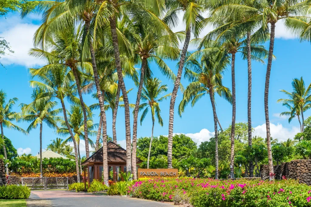 pauoa-beach-club-big-island-hawaii_16.webp