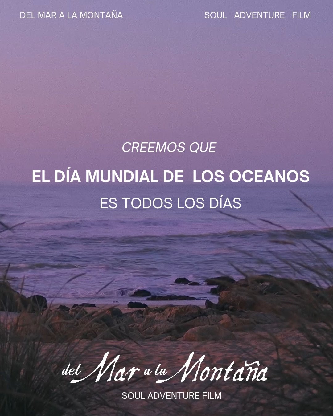 Aprovechamos el d&iacute;a mundial de los oc&eacute;anos para hablar de nuestro gran amor y hacer menci&oacute;n de muchas mujeres que dedicaron su vida a explorarlo y protegerlo de diferentes maneras