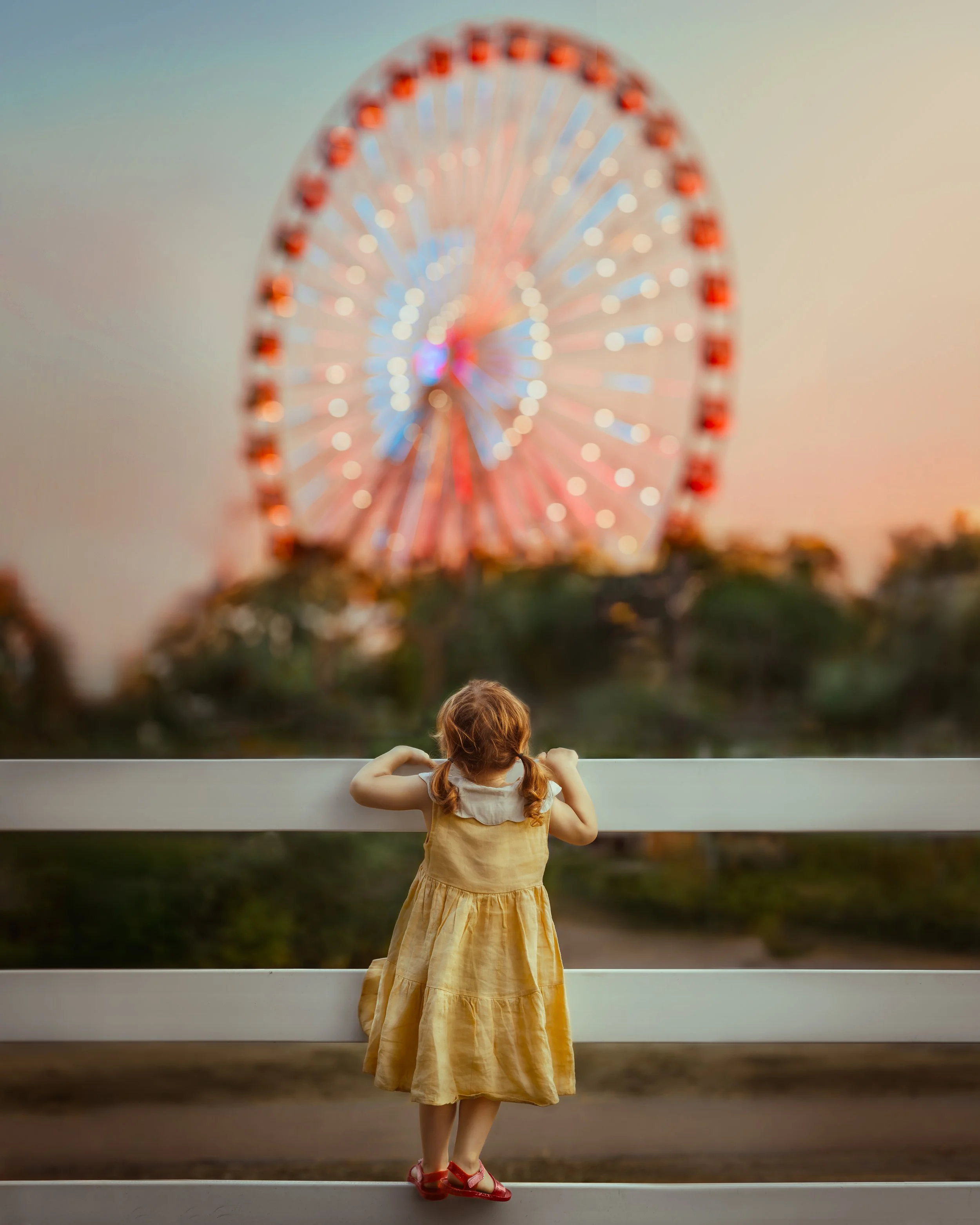 Great Big Wheel 2025.jpg