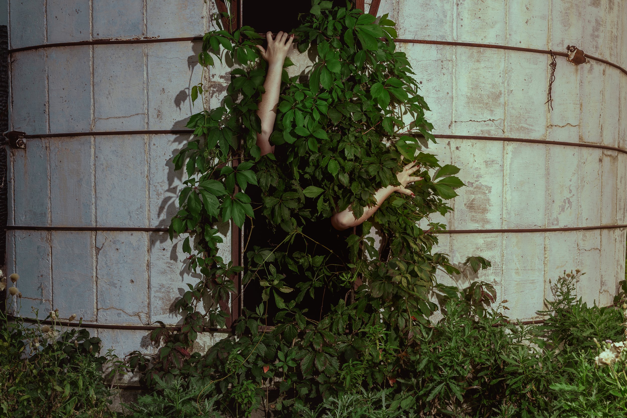 Silo5.jpg