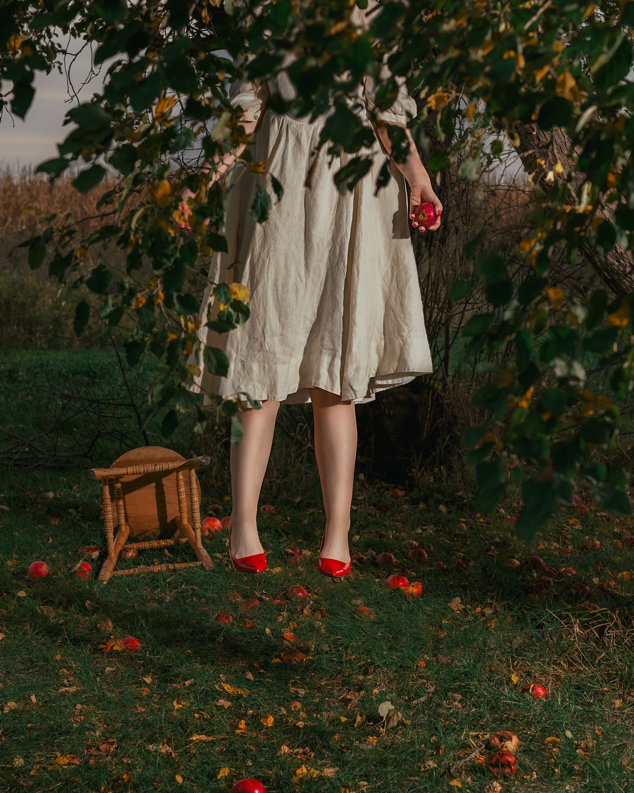 Apple Tree.jpg