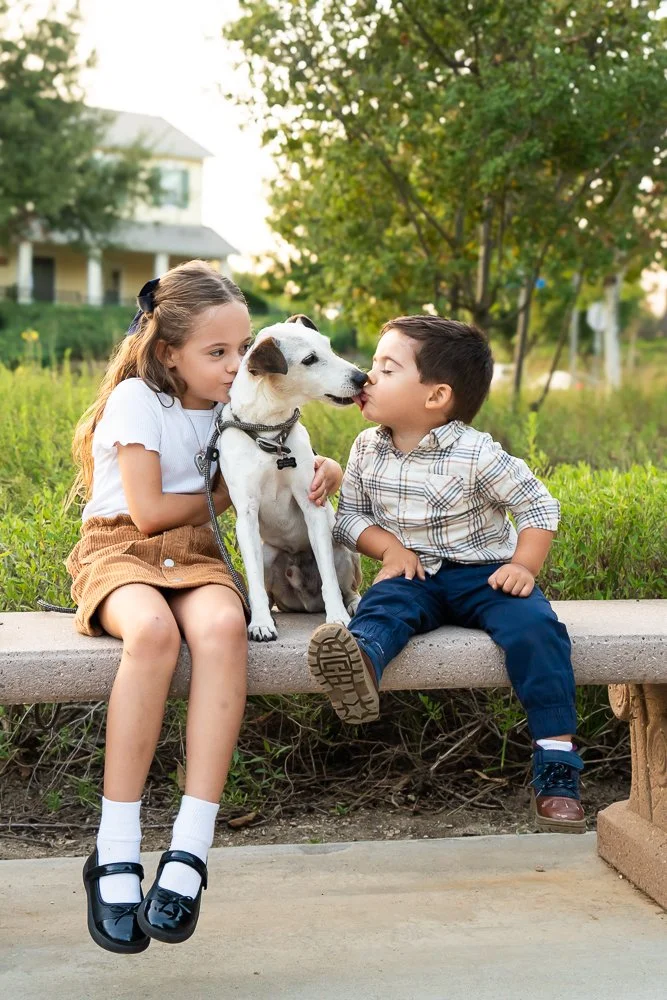 Two children, a girl and a boy, sitting on a park bench with a white dog, touching noses with the dog in an outdoor park with trees and a house in the background.