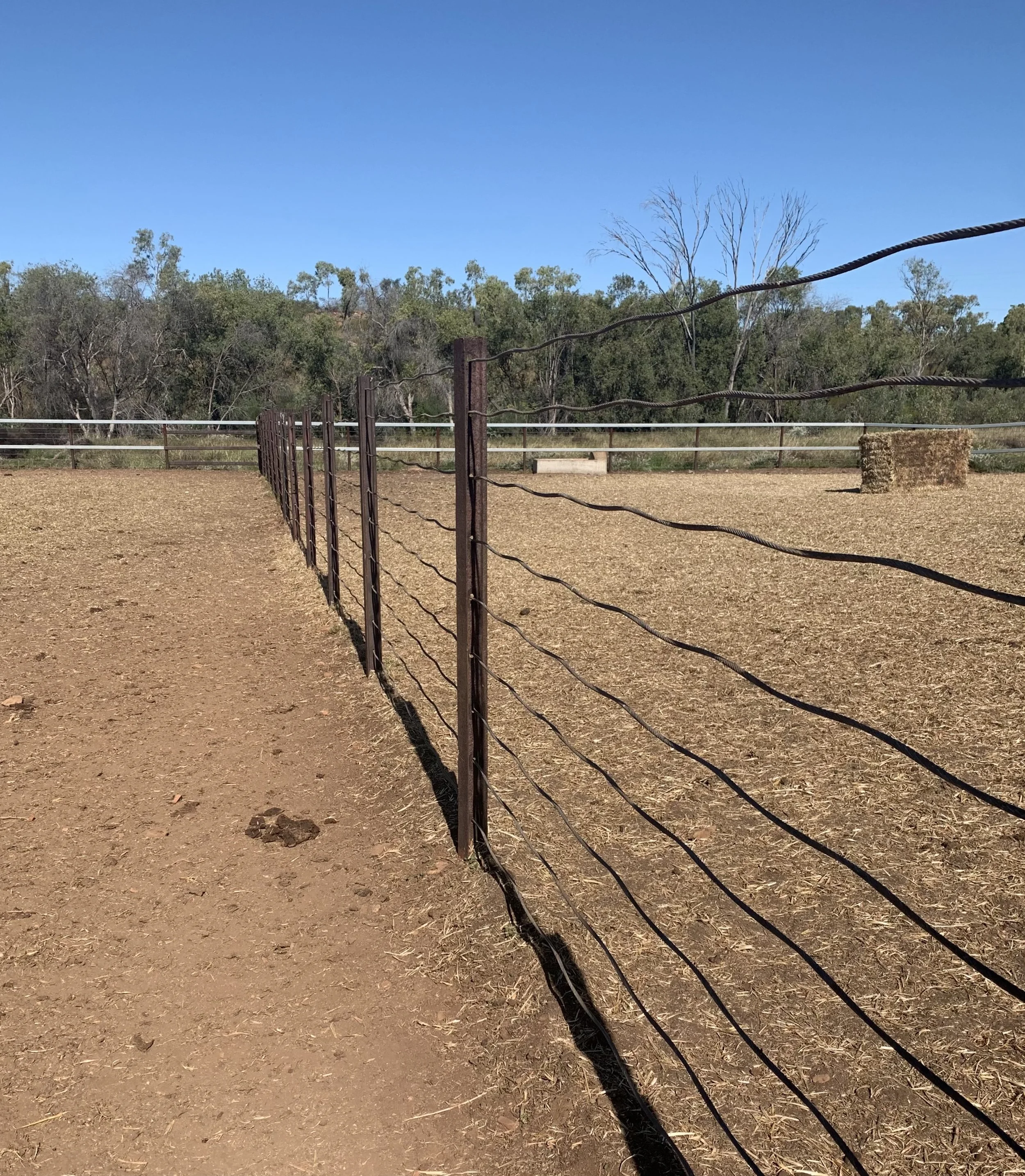 A fenced outdoor area with dry, dirt ground, surrounded by trees and a hay bale, under a clear blue sky.