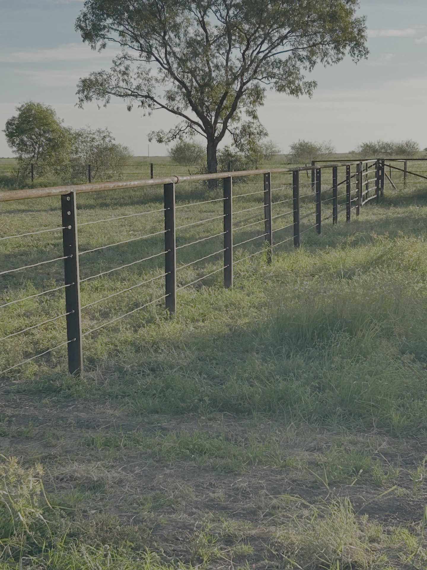 A metal fence runs through a green field with a large tree in the background, under a clear sky.