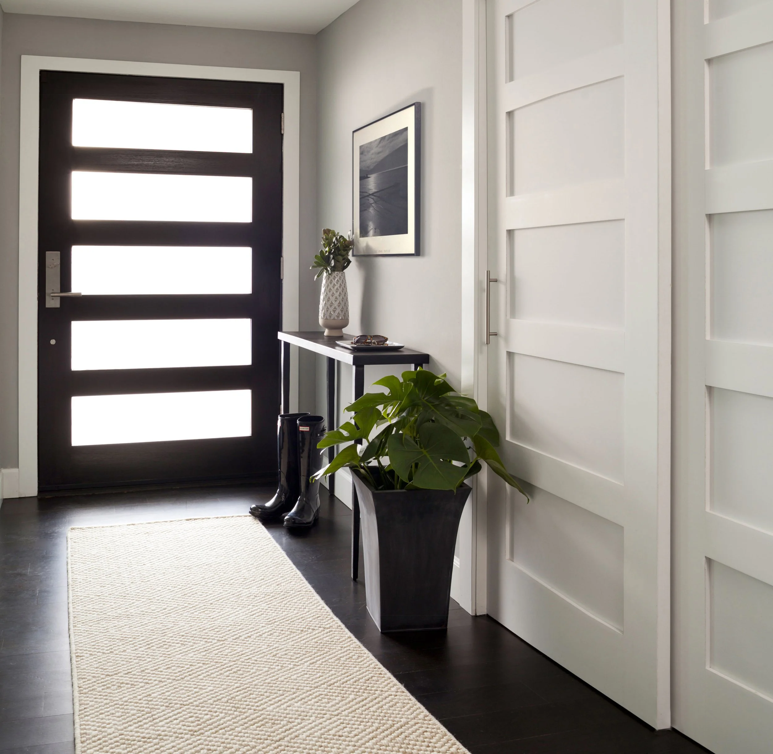 Modern hallway with black front door, white walls, a beige rug, indoor plants in black pots, a framed black and white picture, and a closet with sliding white doors.