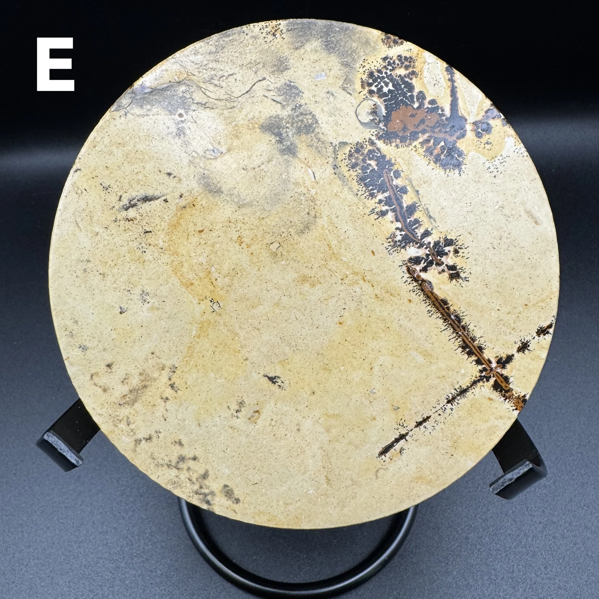 Picture Jasper Plate E - 6.jpg
