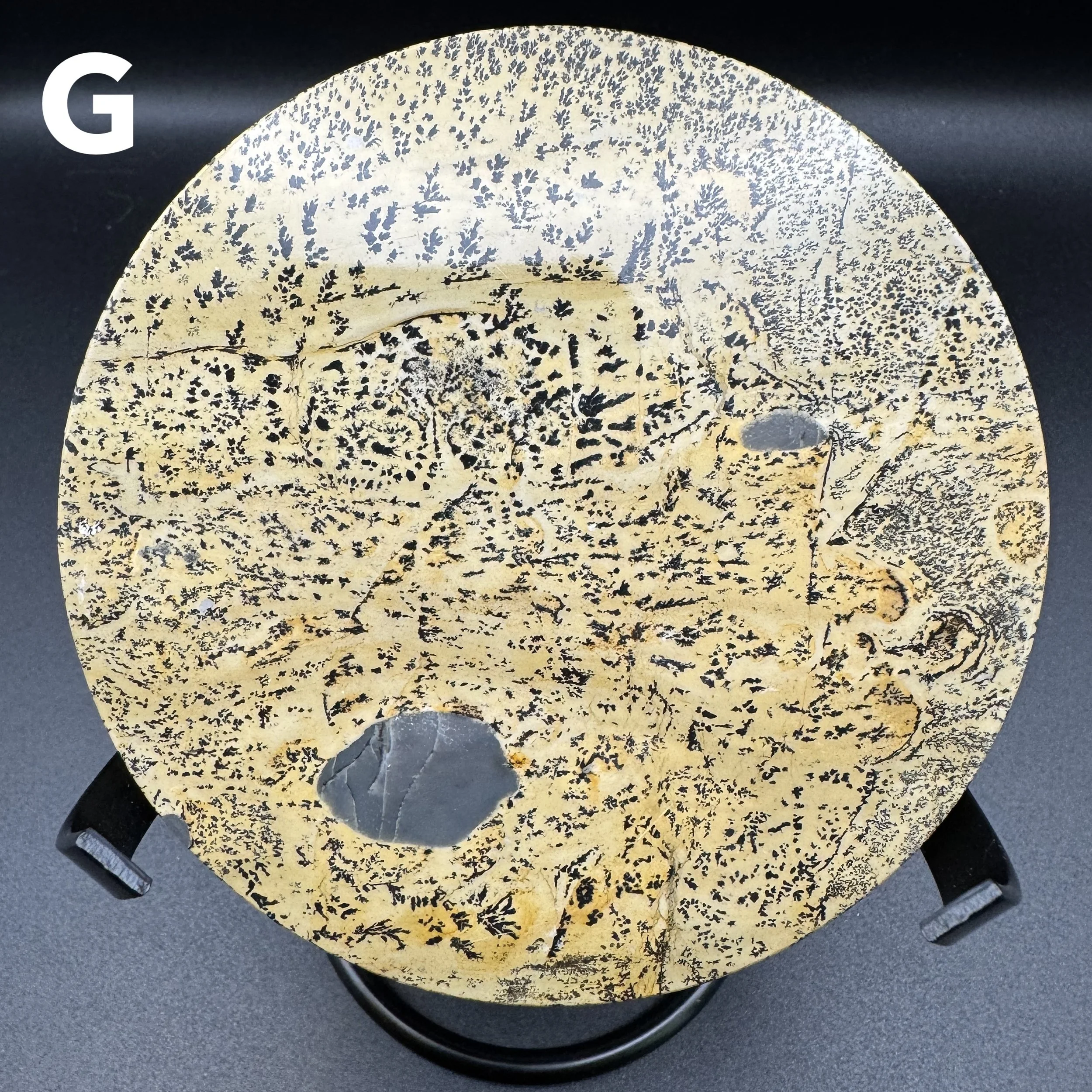 Picture Jasper Plate G - 6.jpg