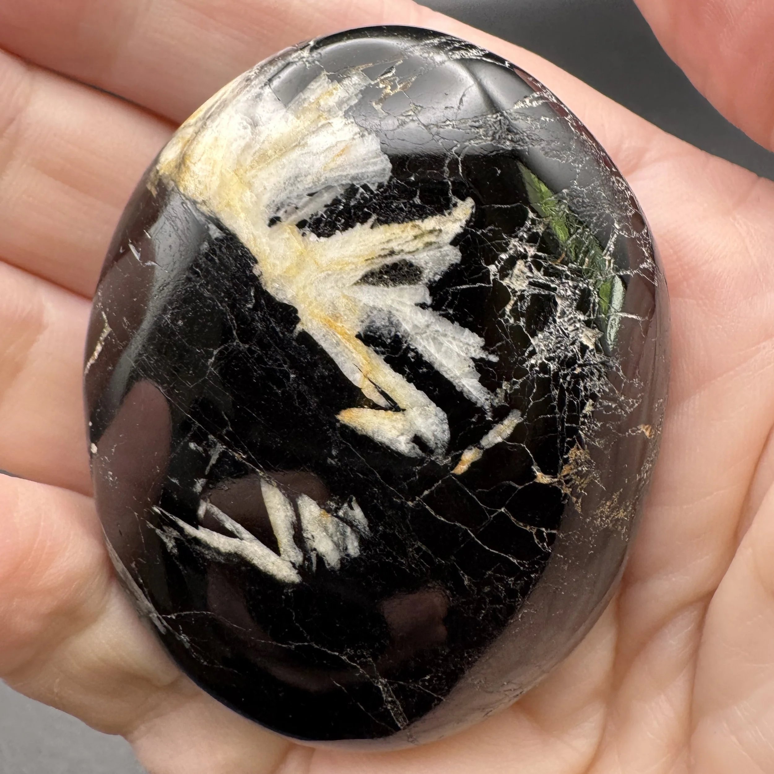 Black Tourmaline Palms - 4.jpg