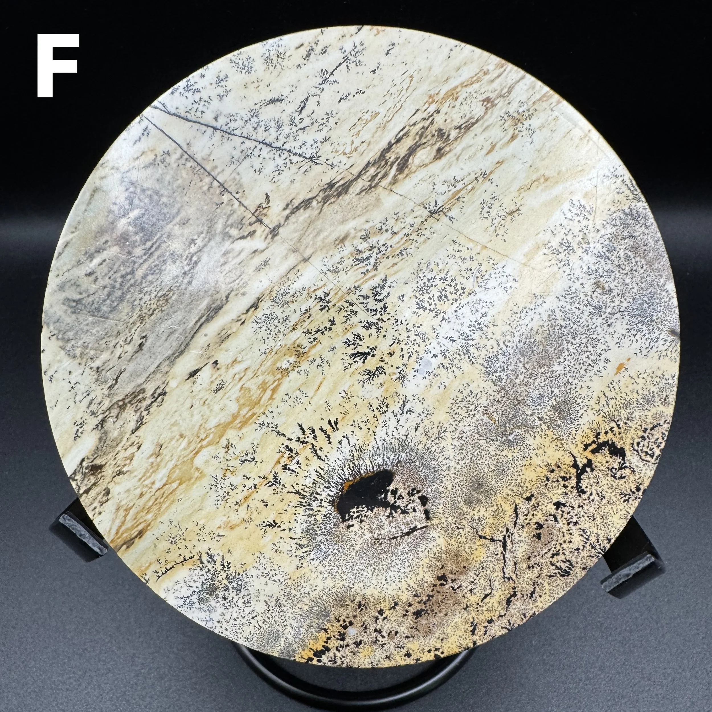 Picture Jasper Plate F - 6.jpg